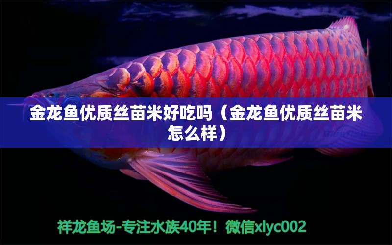 金龍魚優(yōu)質(zhì)絲苗米好吃嗎（金龍魚優(yōu)質(zhì)絲苗米怎么樣）