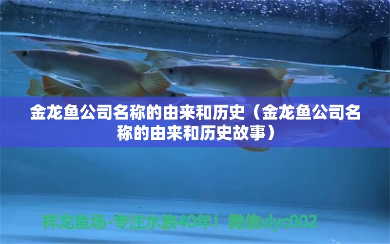 金龍魚公司名稱的由來和歷史（金龍魚公司名稱的由來和歷史故事） 速倍妥