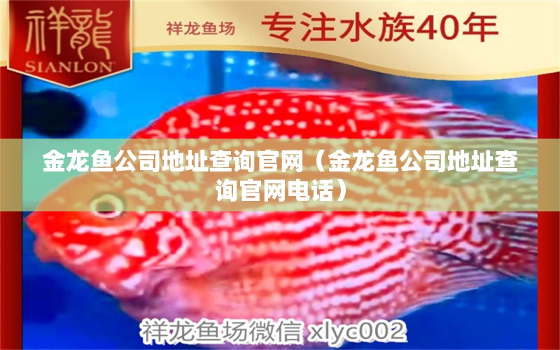 金龍魚公司地址查詢官網(wǎng)（金龍魚公司地址查詢官網(wǎng)電話）