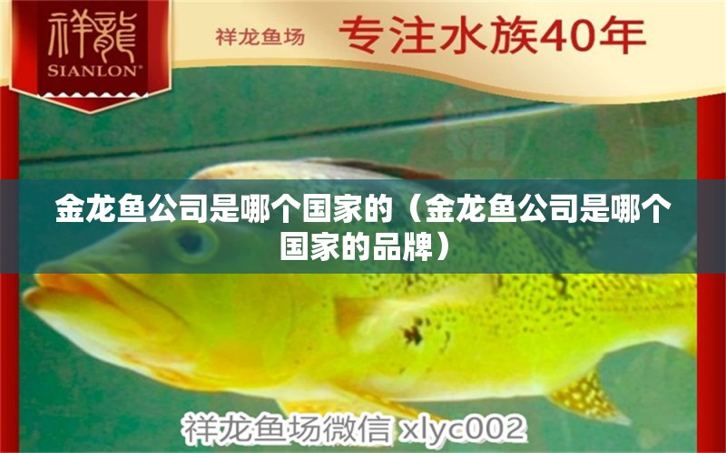 金龍魚(yú)公司是哪個(gè)國(guó)家的（金龍魚(yú)公司是哪個(gè)國(guó)家的品牌） 龍魚(yú)百科