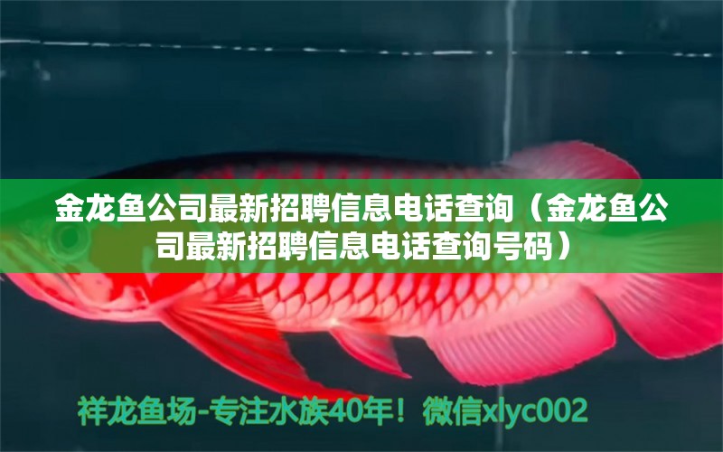 金龍魚公司最新招聘信息電話查詢（金龍魚公司最新招聘信息電話查詢號碼）