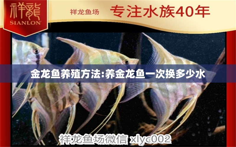 金龍魚養(yǎng)殖方法:養(yǎng)金龍魚一次換多少水