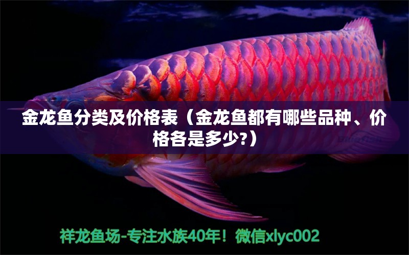 金龍魚(yú)分類及價(jià)格表（金龍魚(yú)都有哪些品種、價(jià)格各是多少?）