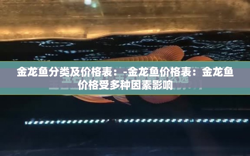 金龍魚分類及價格表：-金龍魚價格表：金龍魚價格受多種因素影響 水族問答 第1張