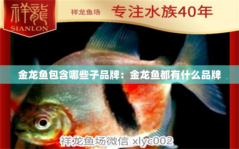 金龍魚包含哪些子品牌：金龍魚都有什么品牌 廣州龍魚批發(fā)市場