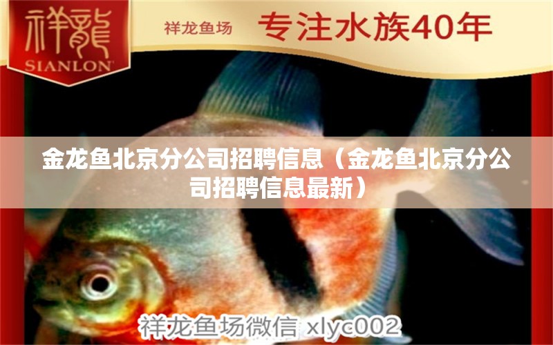 金龍魚北京分公司招聘信息（金龍魚北京分公司招聘信息最新） 祥龍水族醫(yī)院