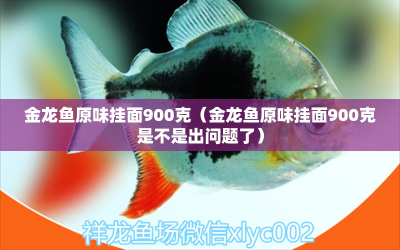 金龍魚原味掛面900克（金龍魚原味掛面900克是不是出問題了）