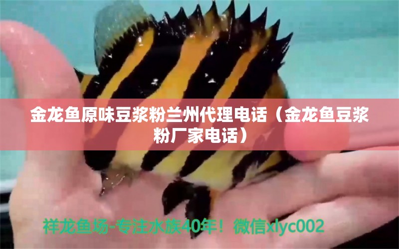 金龍魚原味豆?jié){粉蘭州代理電話（金龍魚豆?jié){粉廠家電話）