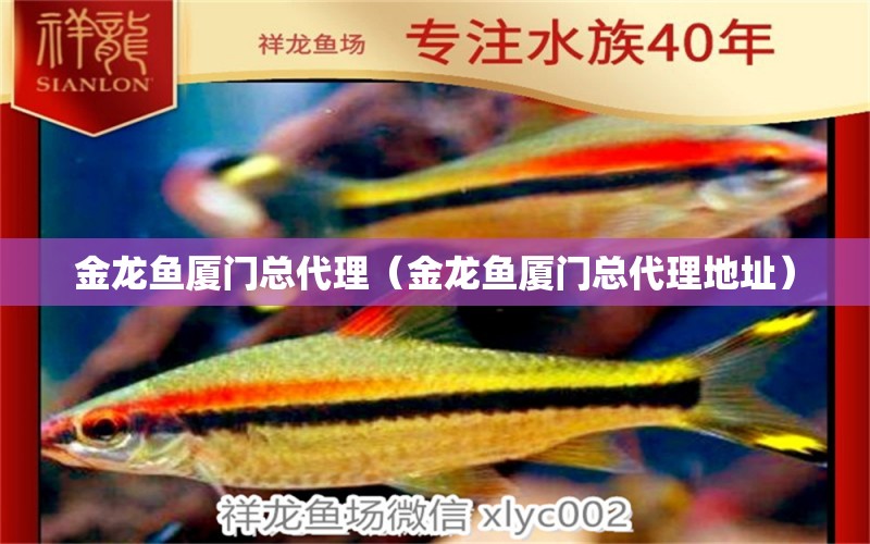 金龍魚廈門總代理（金龍魚廈門總代理地址）