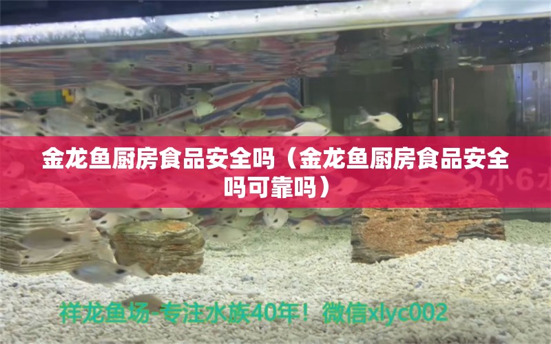 金龍魚廚房食品安全嗎（金龍魚廚房食品安全嗎可靠嗎）