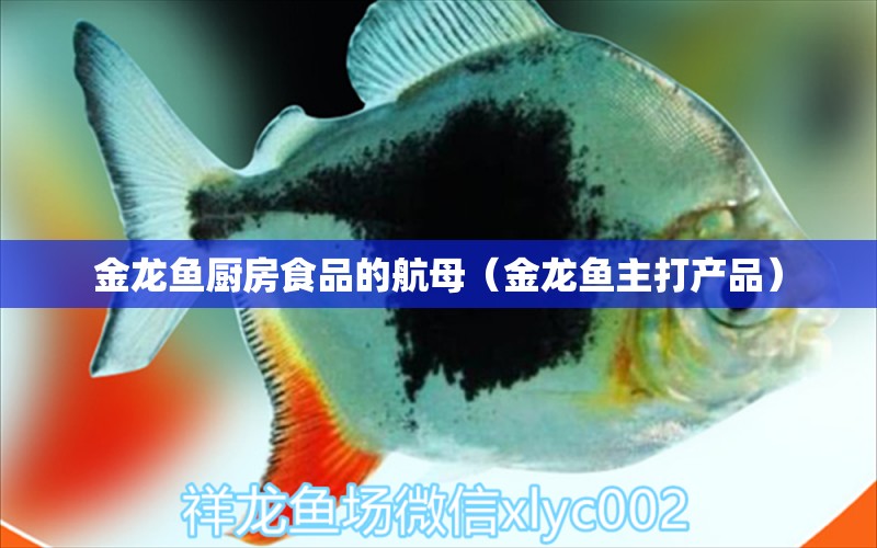 金龍魚廚房食品的航母（金龍魚主打產品） 老魚匠