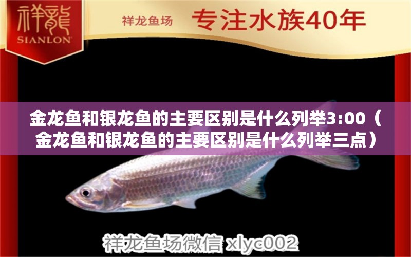 金龍魚和銀龍魚的主要區(qū)別是什么列舉3:00（金龍魚和銀龍魚的主要區(qū)別是什么列舉三點(diǎn)） 銀龍魚