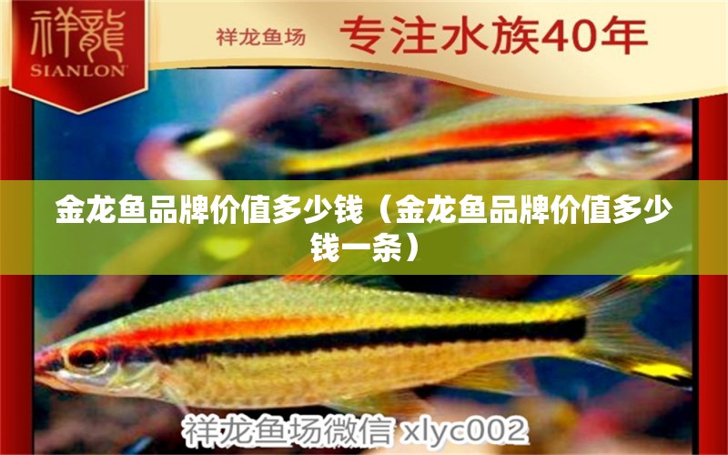 金龍魚品牌價值多少錢（金龍魚品牌價值多少錢一條） 其他品牌魚缸