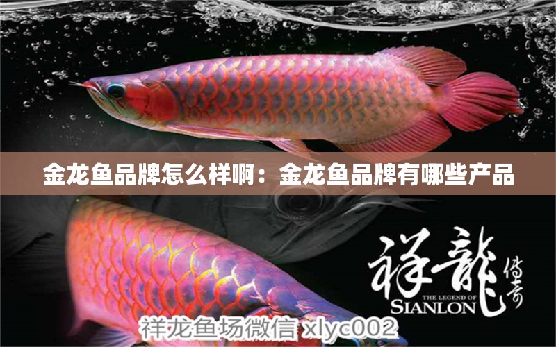 金龍魚品牌怎么樣?。航瘕堲~品牌有哪些產(chǎn)品