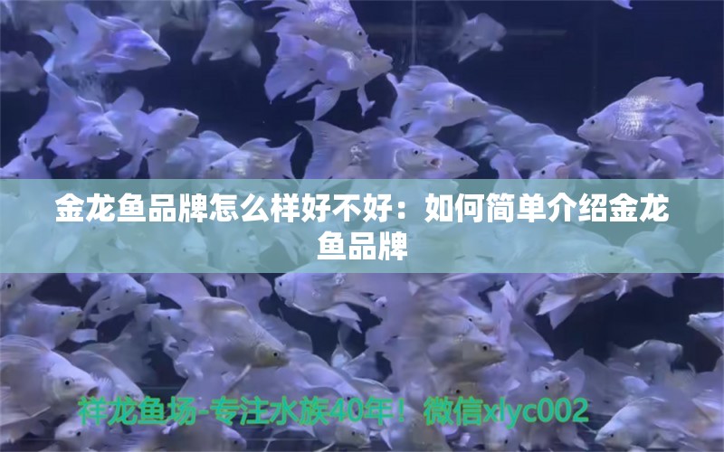 金龍魚品牌怎么樣好不好：如何簡單介紹金龍魚品牌