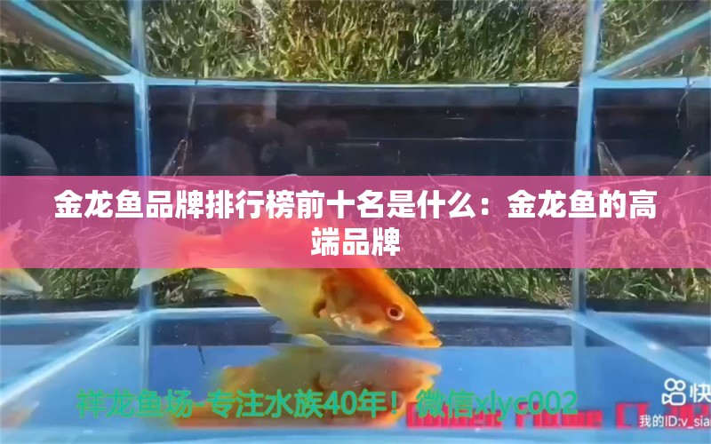 金龍魚品牌排行榜前十名是什么：金龍魚的高端品牌