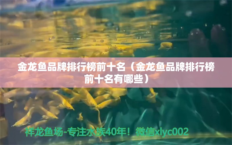 金龍魚品牌排行榜前十名（金龍魚品牌排行榜前十名有哪些）