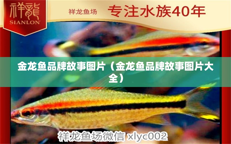 金龍魚品牌故事圖片（金龍魚品牌故事圖片大全） 其他品牌魚缸