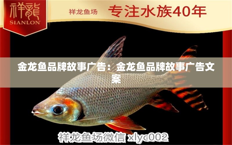 金龍魚品牌故事廣告：金龍魚品牌故事廣告文案