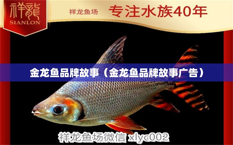 金龍魚(yú)品牌故事（金龍魚(yú)品牌故事廣告）