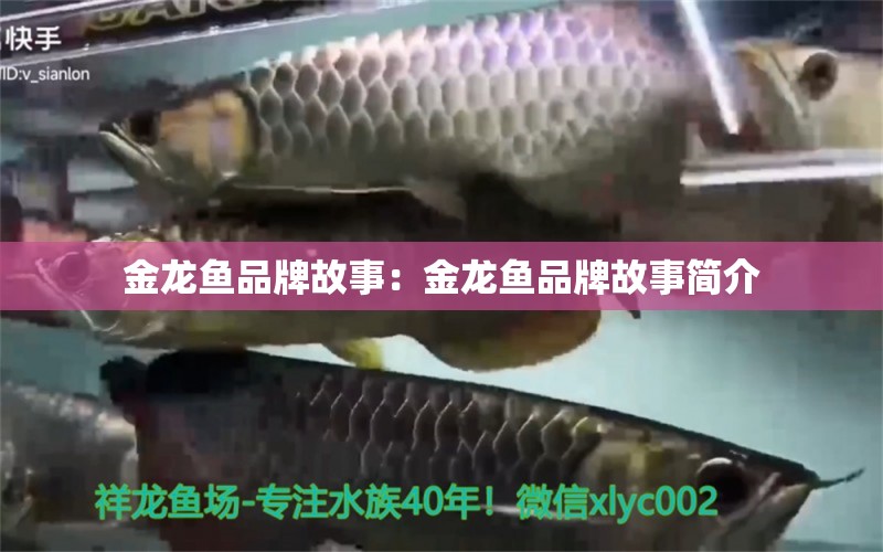 金龍魚品牌故事：金龍魚品牌故事簡介