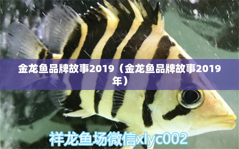 金龍魚品牌故事2019（金龍魚品牌故事2019年） 其他品牌魚缸 第1張