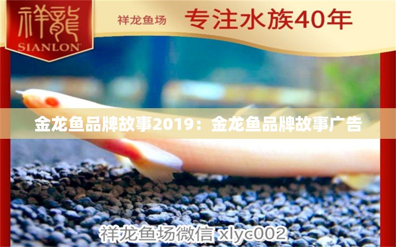 金龍魚品牌故事2019：金龍魚品牌故事廣告