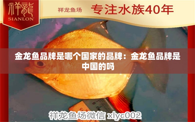 金龍魚品牌是哪個國家的品牌：金龍魚品牌是中國的嗎 廣州龍魚批發(fā)市場