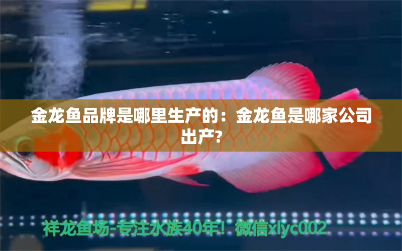 金龍魚(yú)品牌是哪里生產(chǎn)的：金龍魚(yú)是哪家公司出產(chǎn)?