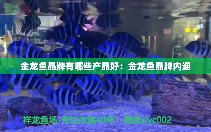 金龍魚品牌有哪些產(chǎn)品好：金龍魚品牌內(nèi)涵