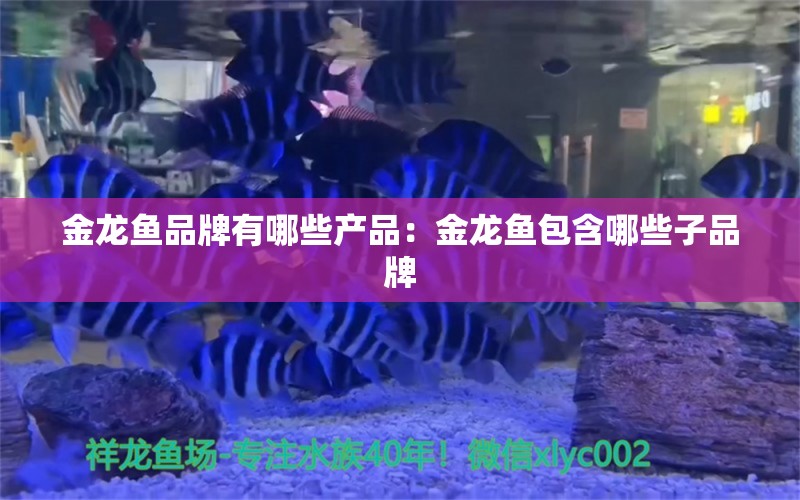 金龍魚品牌有哪些產品：金龍魚包含哪些子品牌