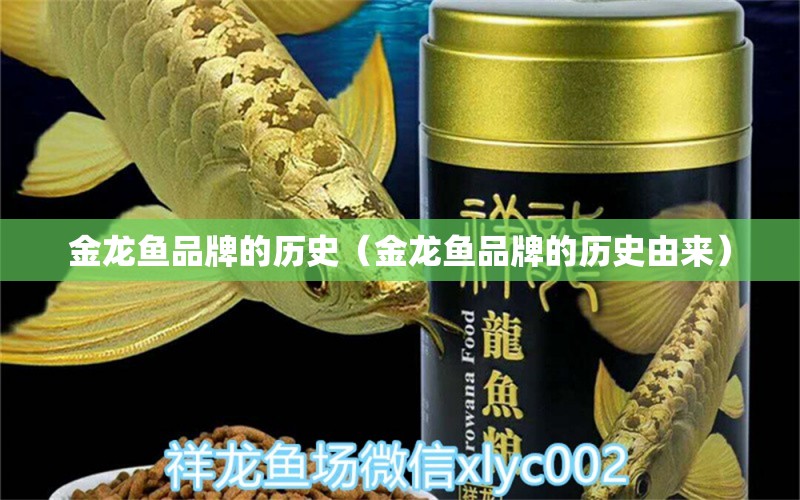 金龍魚品牌的歷史（金龍魚品牌的歷史由來(lái)）