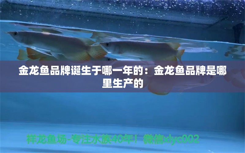 金龍魚(yú)品牌誕生于哪一年的：金龍魚(yú)品牌是哪里生產(chǎn)的