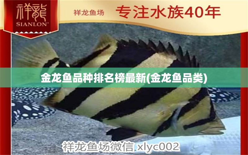 金龍魚品種排名榜最新(金龍魚品類)