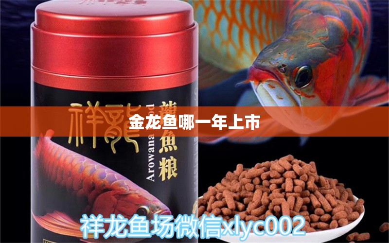 金龍魚(yú)哪一年上市 龍魚(yú)百科 第1張