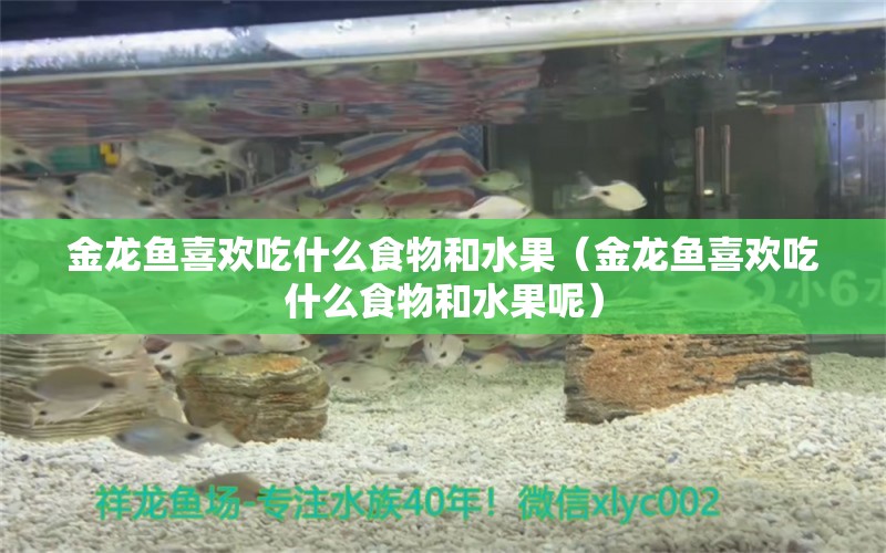 金龍魚喜歡吃什么食物和水果（金龍魚喜歡吃什么食物和水果呢） 麥肯斯銀版魚