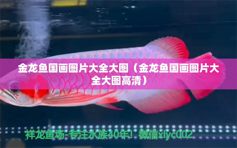 金龍魚國畫圖片大全大圖（金龍魚國畫圖片大全大圖高清）