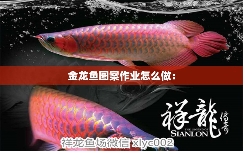 金龍魚圖案作業(yè)怎么做：