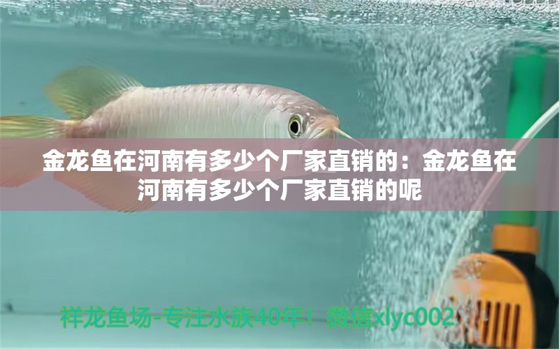 金龍魚(yú)在河南有多少個(gè)廠家直銷(xiāo)的：金龍魚(yú)在河南有多少個(gè)廠家直銷(xiāo)的呢