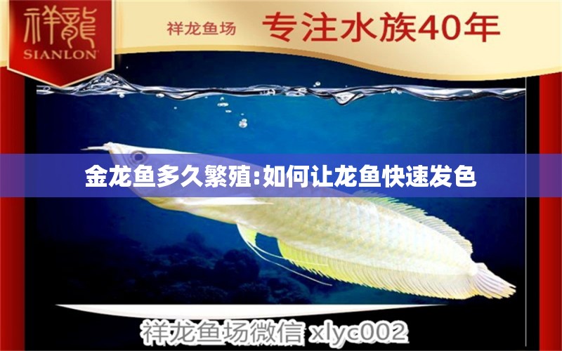 金龍魚多久繁殖:如何讓龍魚快速發(fā)色