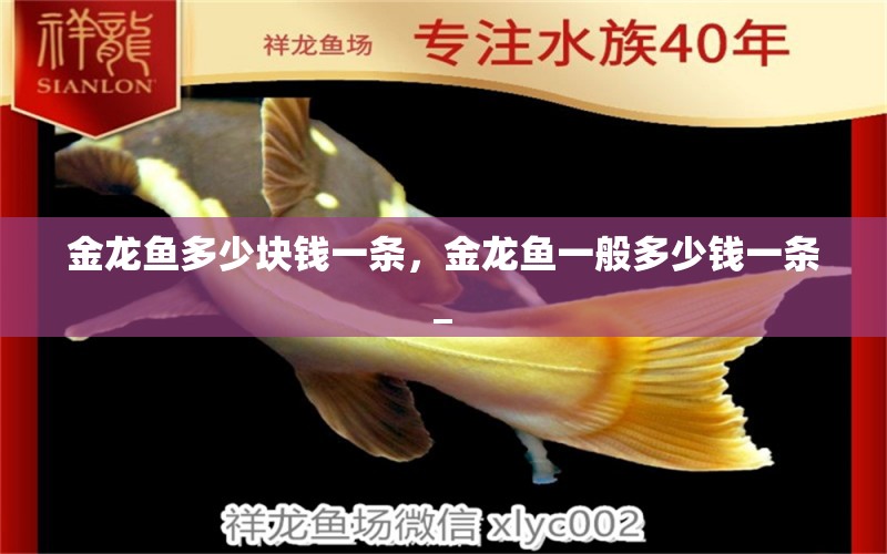 金龍魚多少塊錢一條，金龍魚一般多少錢一條_ 鸚鵡魚