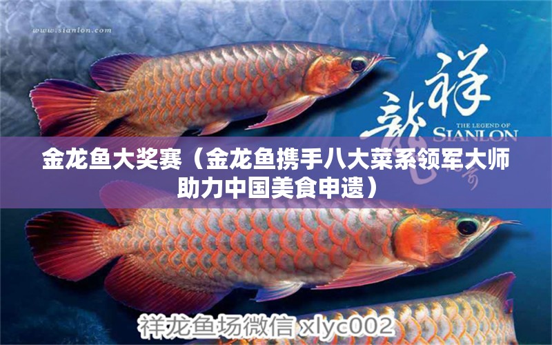 金龍魚大獎賽（金龍魚攜手八大菜系領(lǐng)軍大師助力中國美食申遺）