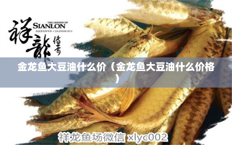 金龍魚大豆油什么價（金龍魚大豆油什么價格） 觀賞魚市場（混養(yǎng)魚）