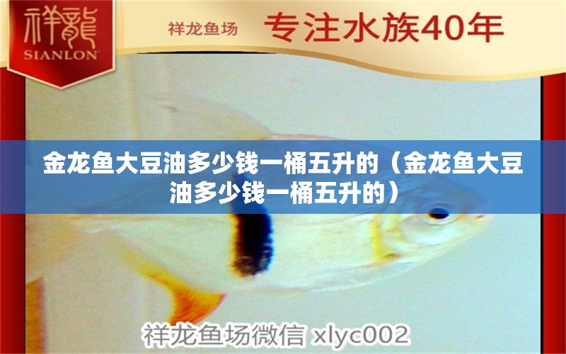 金龍魚大豆油多少錢一桶五升的（金龍魚大豆油多少錢一桶五升的）