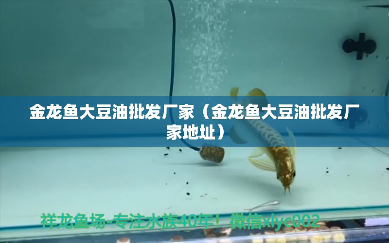 金龍魚大豆油批發(fā)廠家（金龍魚大豆油批發(fā)廠家地址）