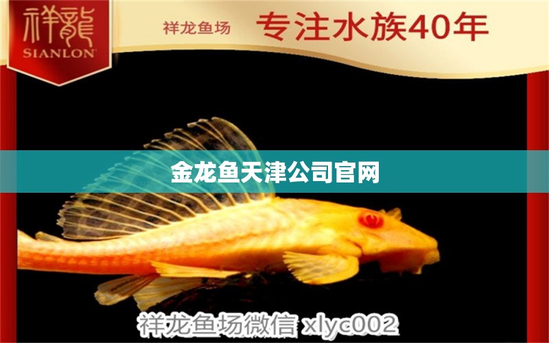 金龍魚天津公司官網(wǎng)