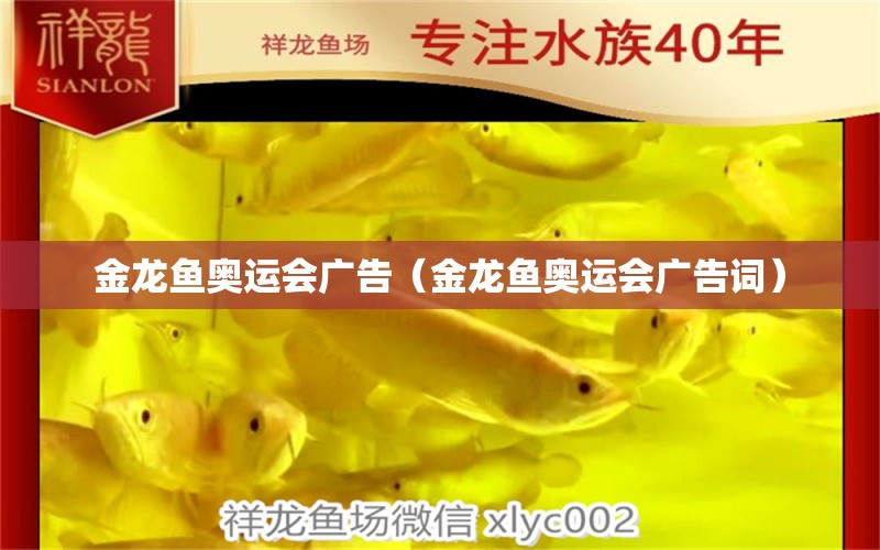 金龍魚奧運會廣告（金龍魚奧運會廣告詞）