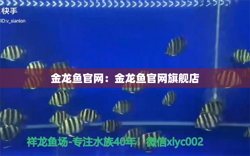 金龍魚官網(wǎng)：金龍魚官網(wǎng)旗艦店