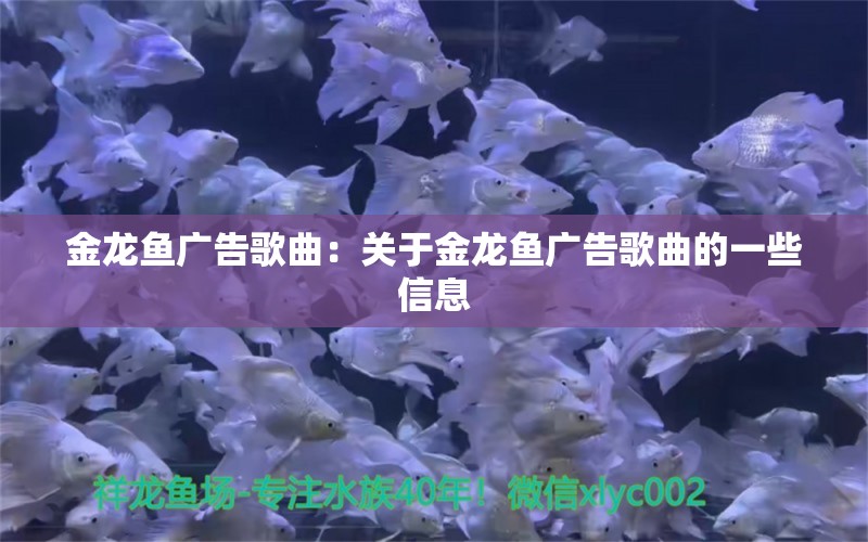 金龍魚廣告歌曲：關(guān)于金龍魚廣告歌曲的一些信息 龍魚百科 第2張