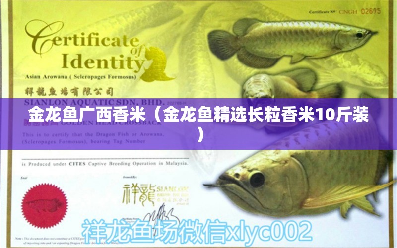 金龍魚廣西香米（金龍魚精選長(zhǎng)粒香米10斤裝）